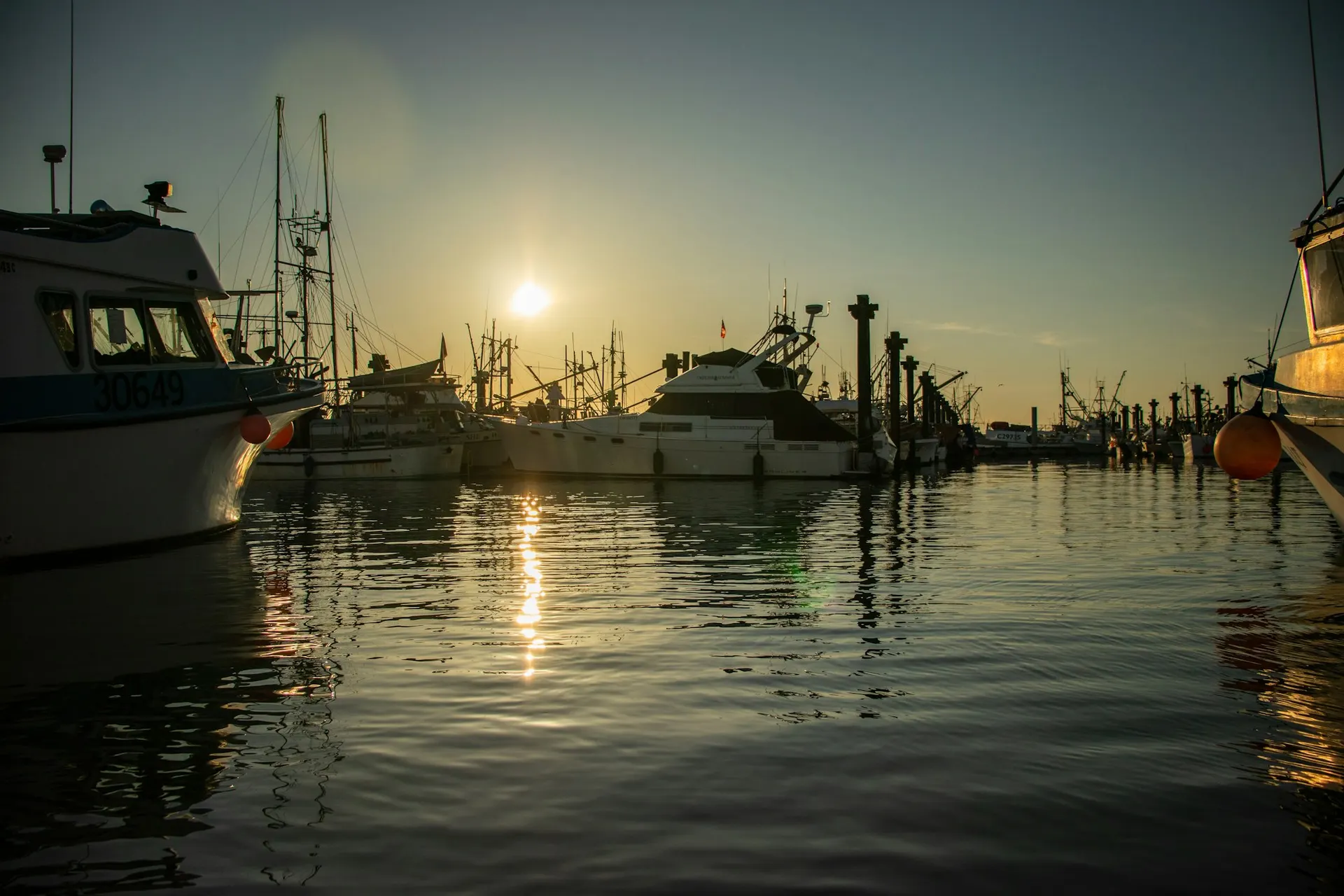 Fishing boats at golden hour in Steveston harbour, Richmond.